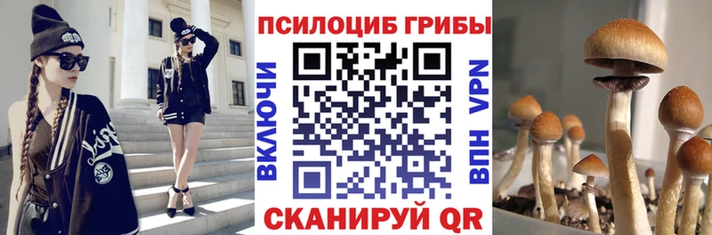 Галлюциногенные грибы Psilocybe  Купить где  Облучье 